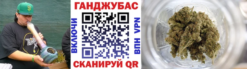 Конопля планчик  сколько стоит  Дыгулыбгей 